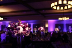 _MG_5847_as_Smart_Object-1